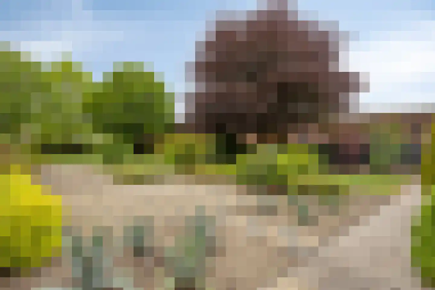 Irisstraat 29 Made thumbnail 68