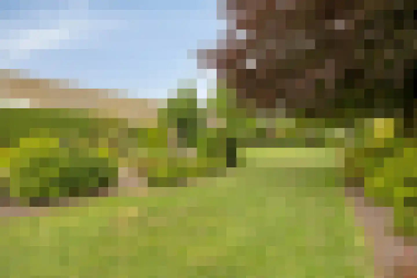 Irisstraat 29 Made thumbnail 72