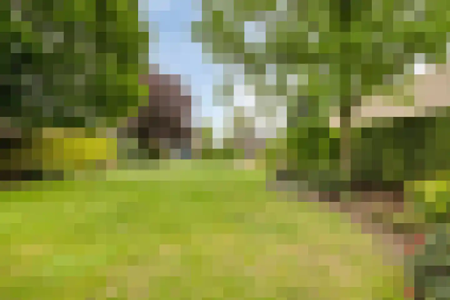 Irisstraat 29 Made thumbnail 75