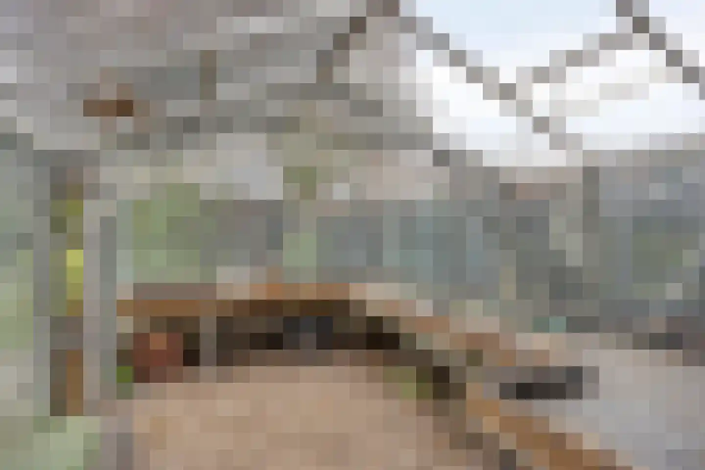 Irisstraat 29 Made thumbnail 86