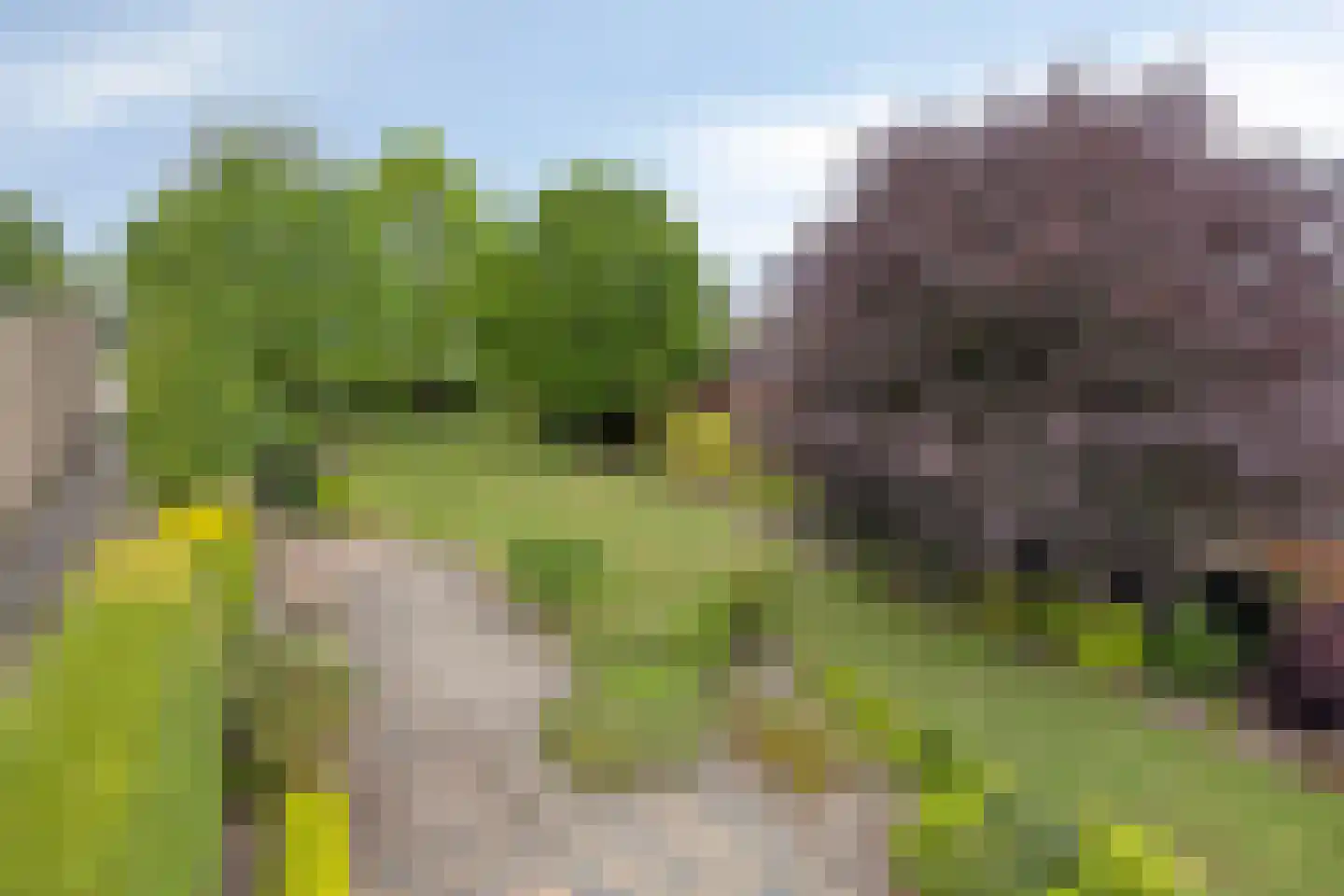 Irisstraat 29 Made thumbnail 88