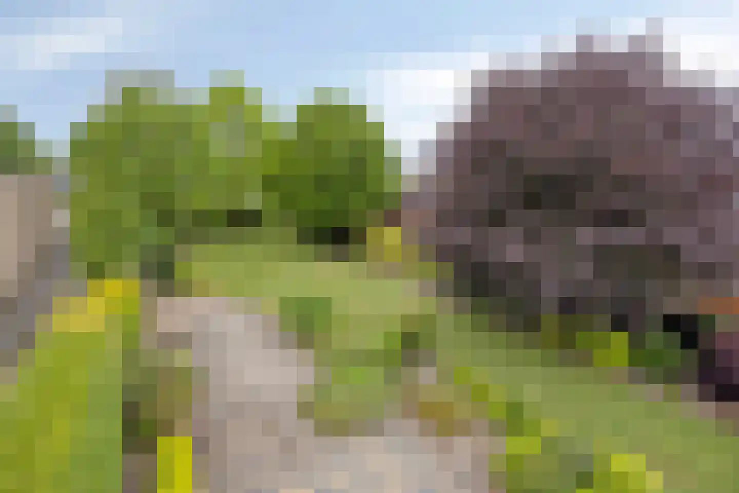 Irisstraat 29 Made thumbnail 89