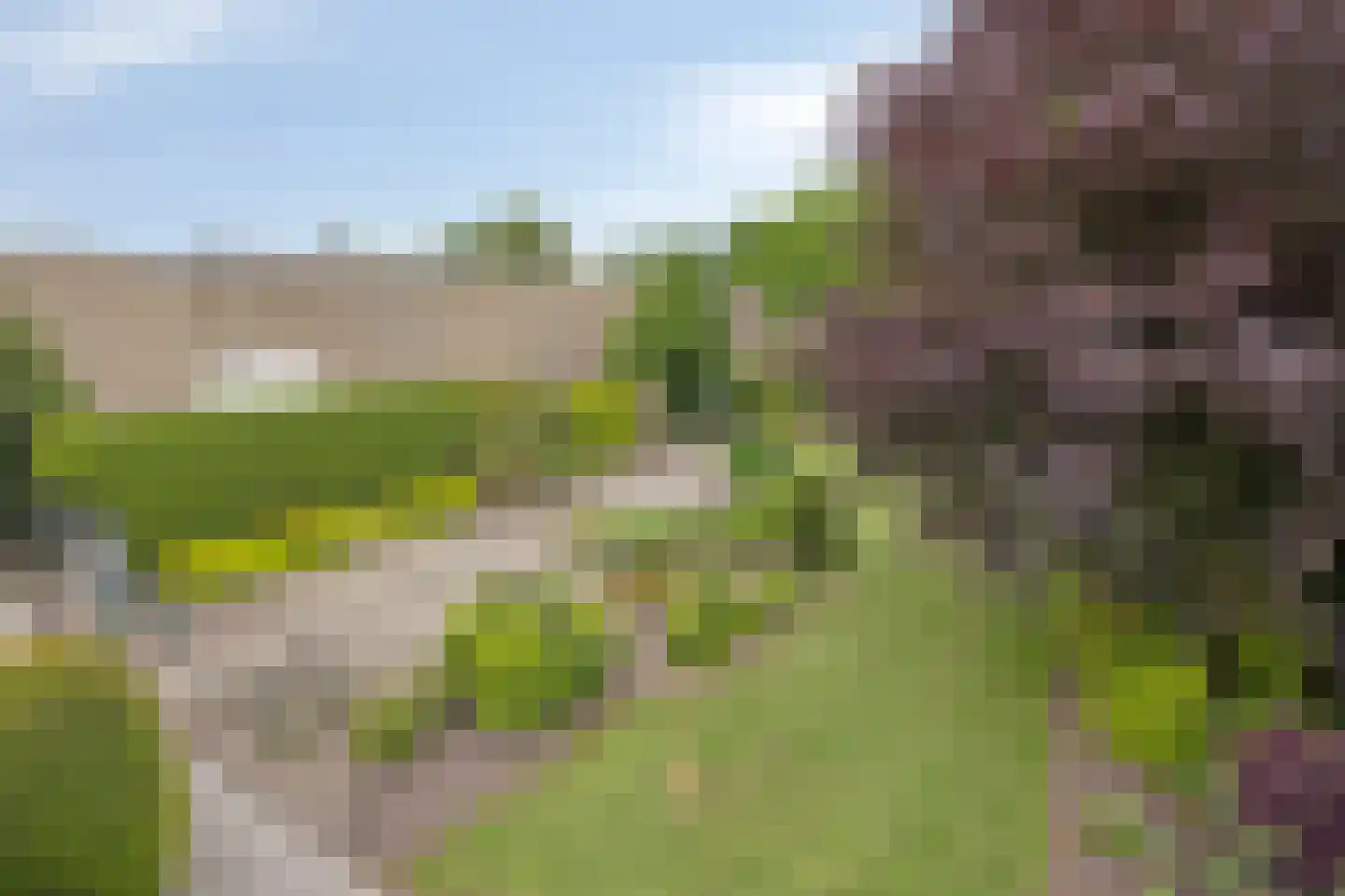 Irisstraat 29 Made thumbnail 90