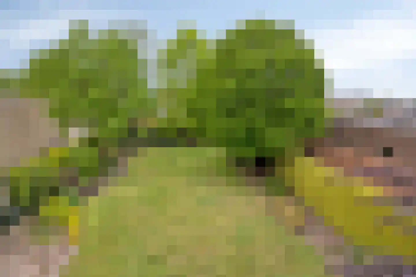 Irisstraat 29 Made thumbnail 91