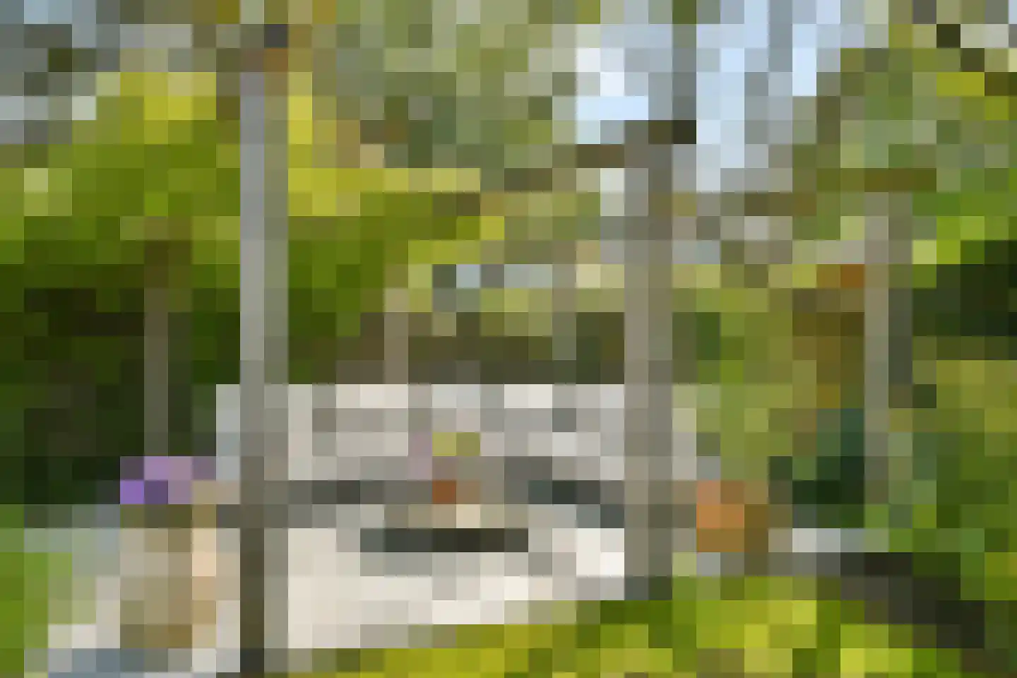 Irisstraat 3 Bussum thumbnail 23