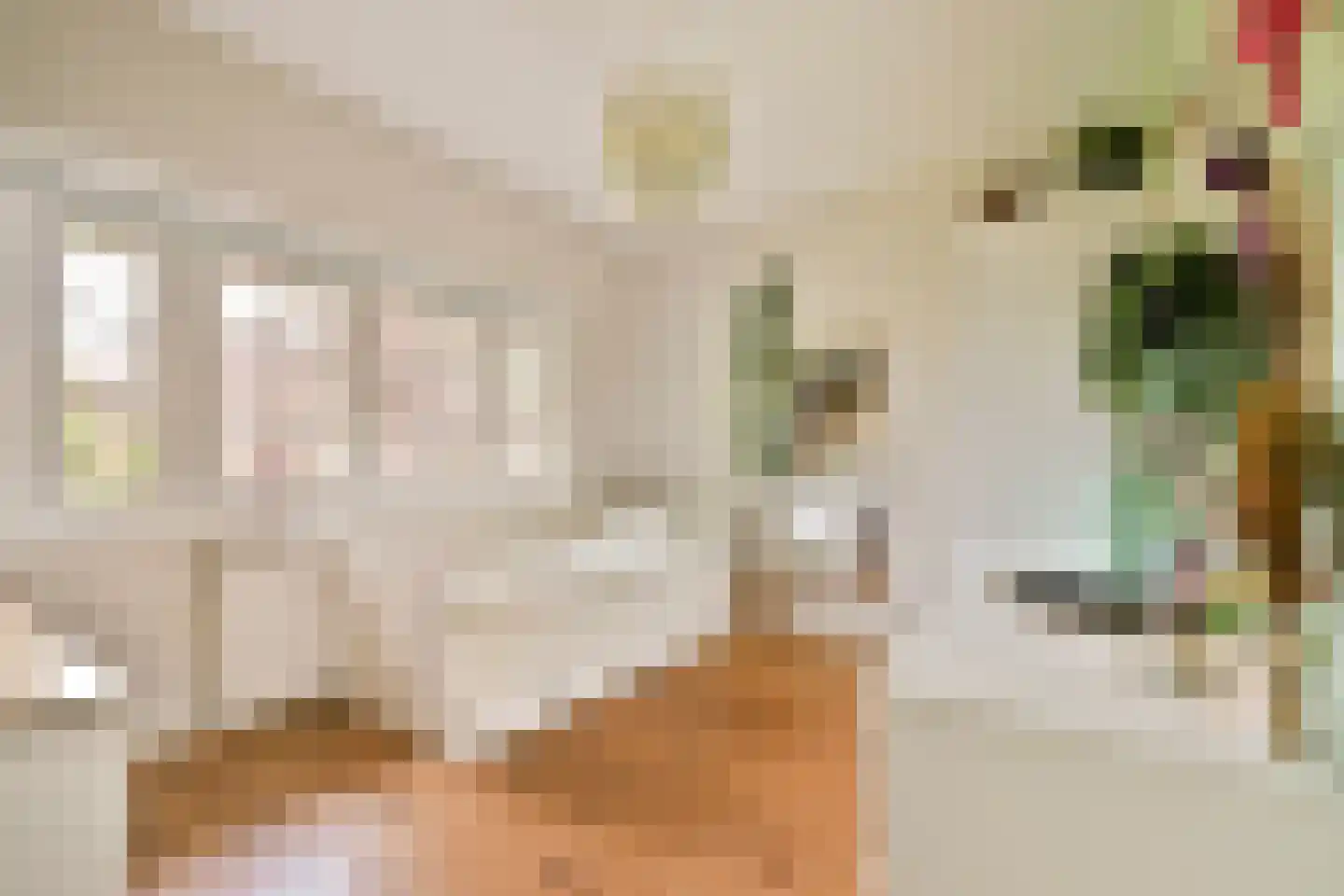 Irisstraat 3 Bussum thumbnail 32