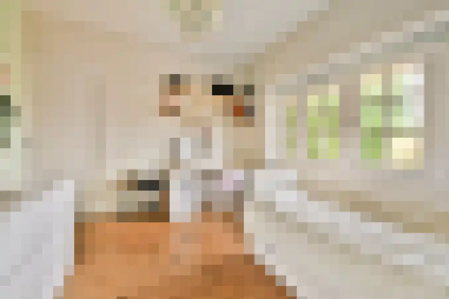 Irisstraat 3 Bussum thumbnail 33
