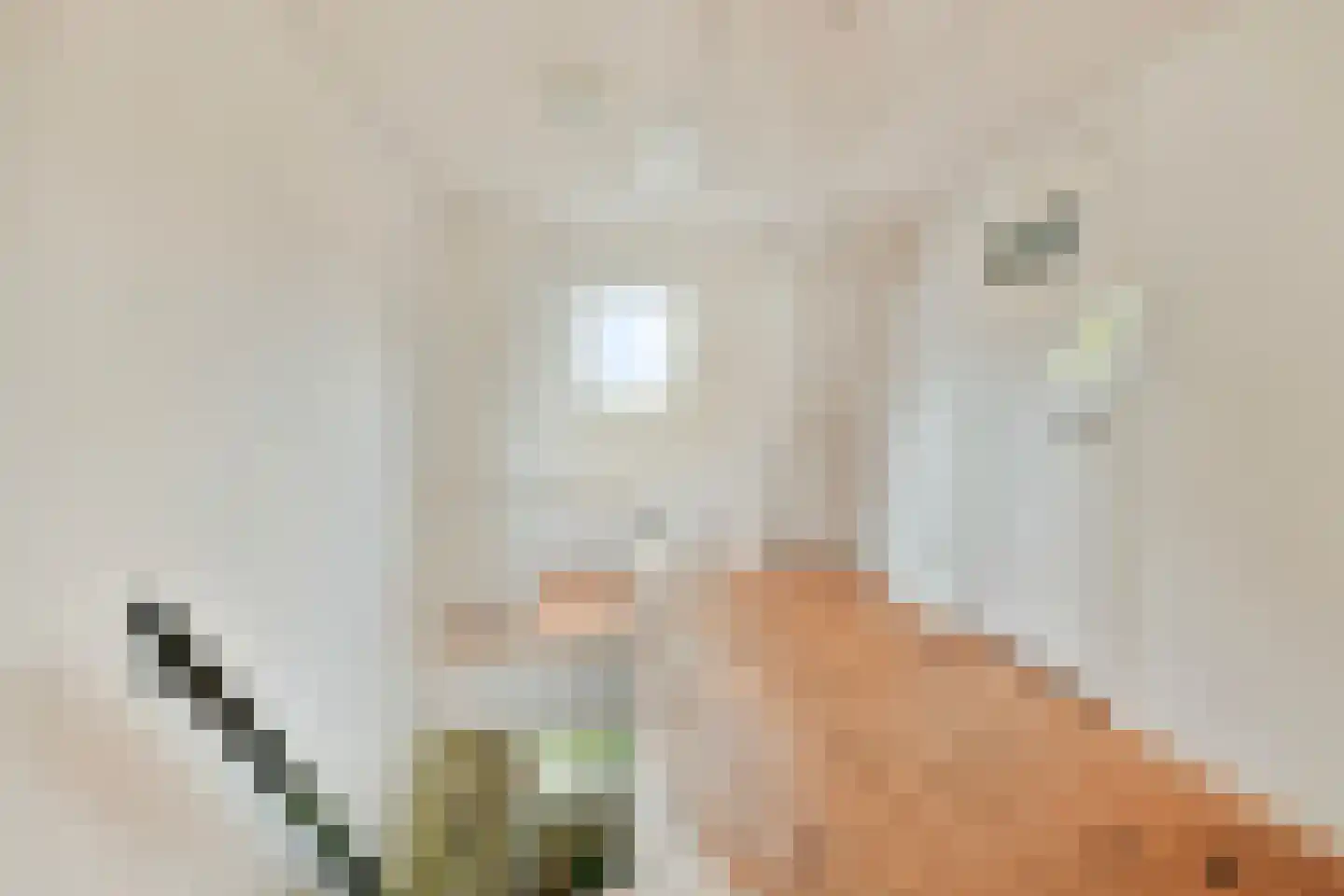 Irisstraat 3 Bussum thumbnail 37