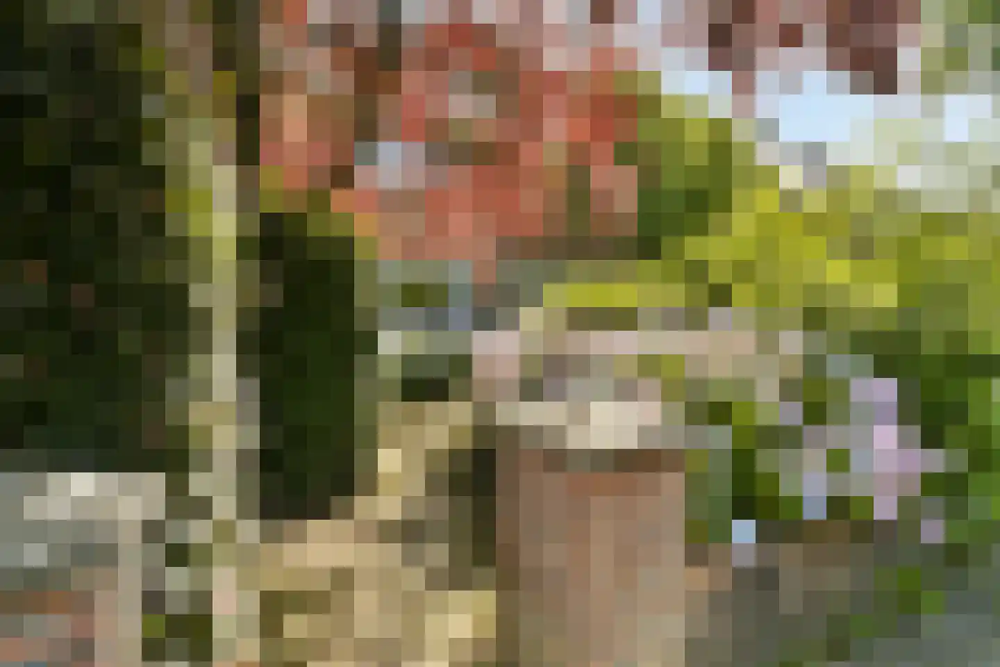 Irisstraat 3 Bussum thumbnail 4