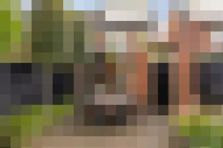 Irisstraat 30 Hengelo thumbnail 32
