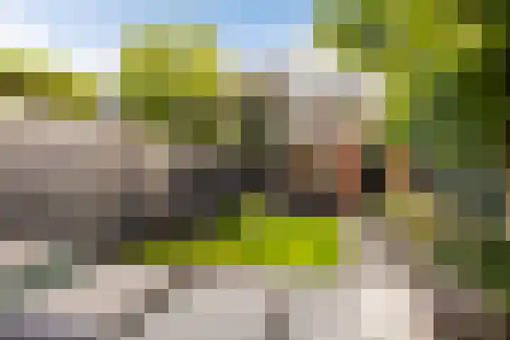 Irisstraat 30 Hengelo thumbnail 34