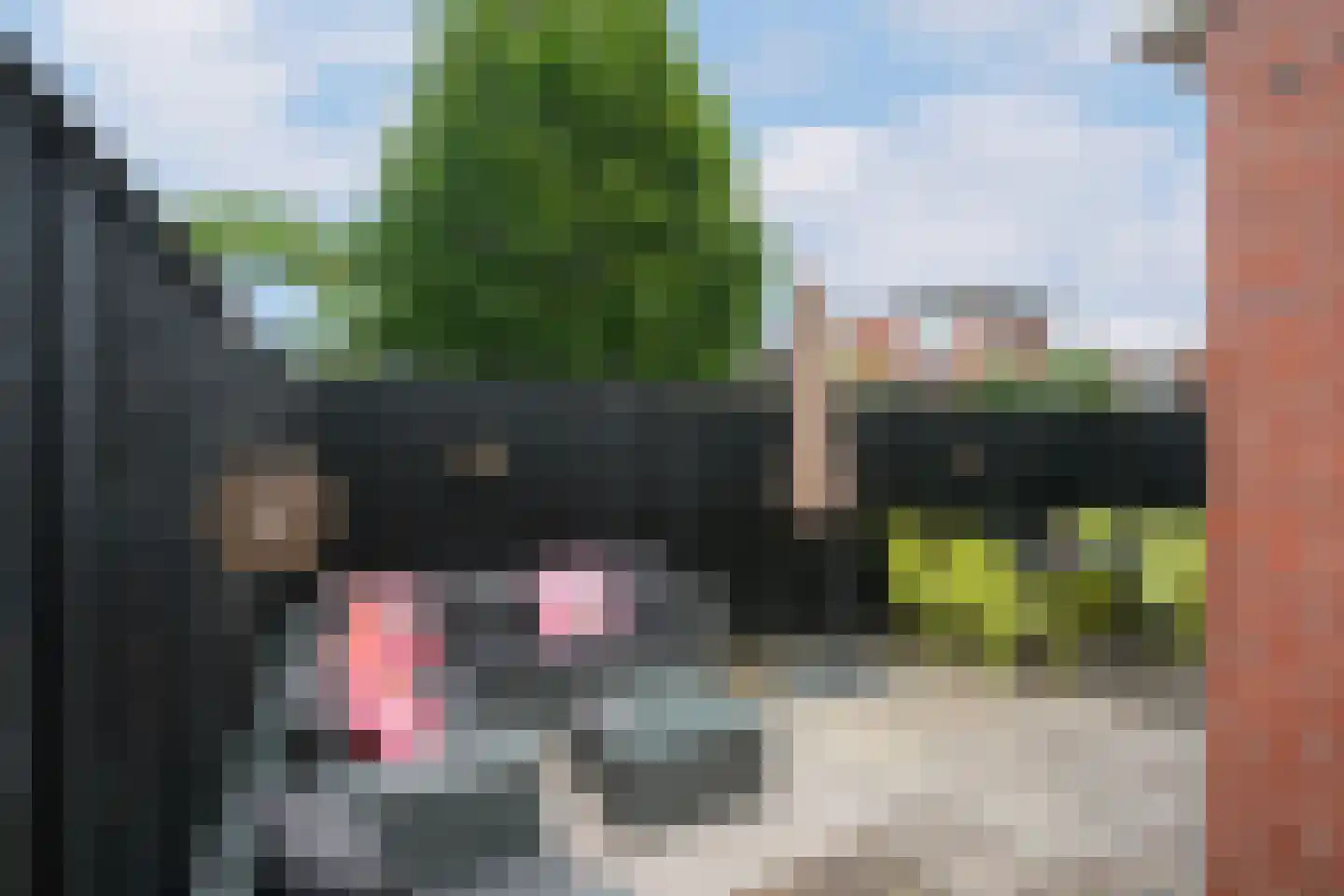 Irisstraat 32 Almelo thumbnail 21