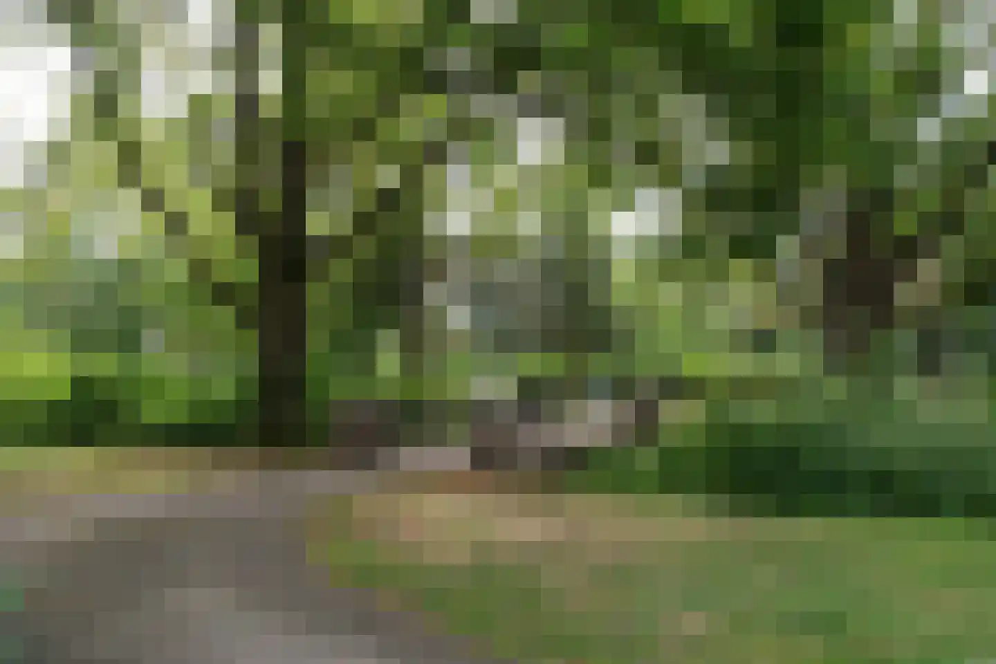 Irisstraat 32 Almelo thumbnail 28