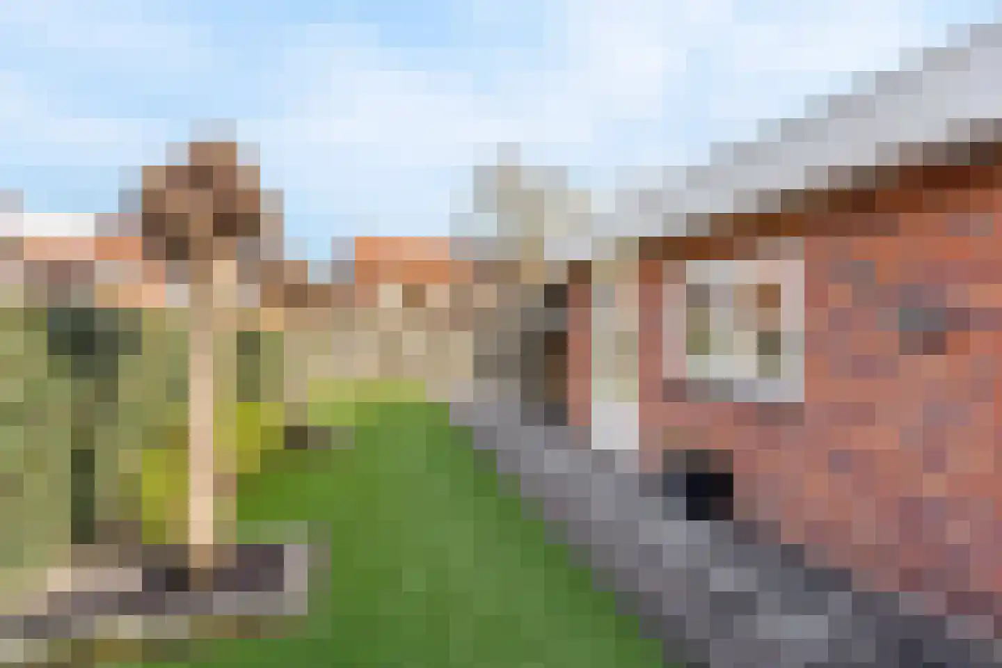 Irisstraat 32 Oldenzaal thumbnail 20