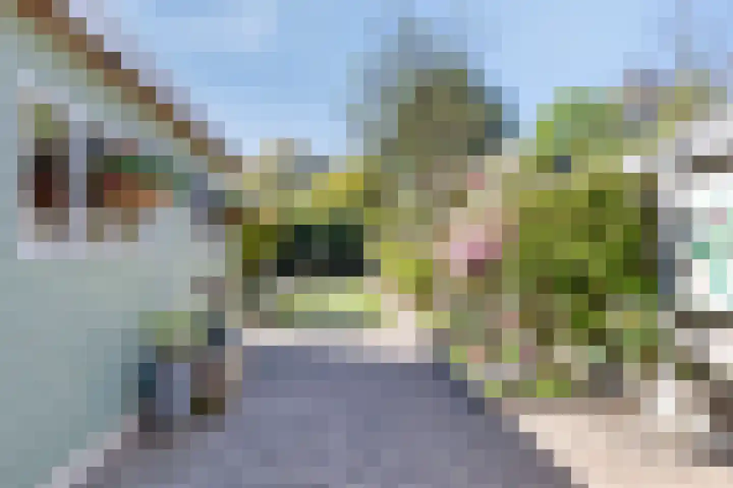 Irisstraat 34 Hengelo thumbnail 27
