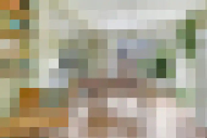 Irisstraat 34 Heteren thumbnail 15