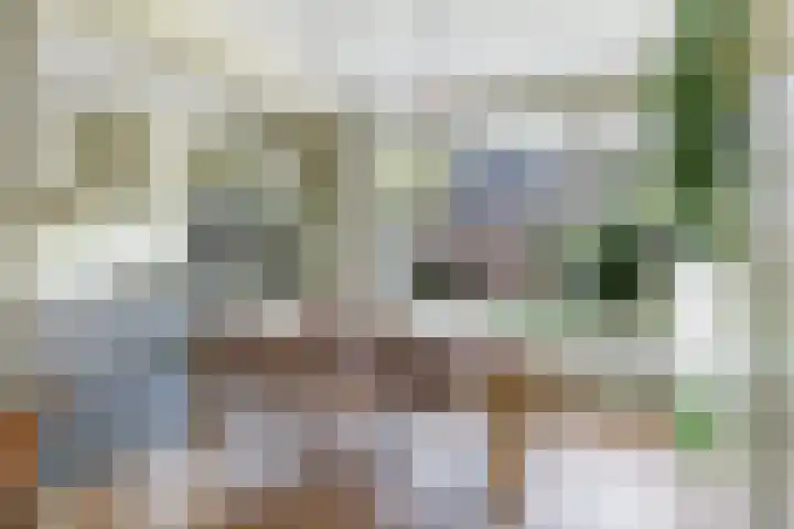 Irisstraat 34 Heteren thumbnail 16