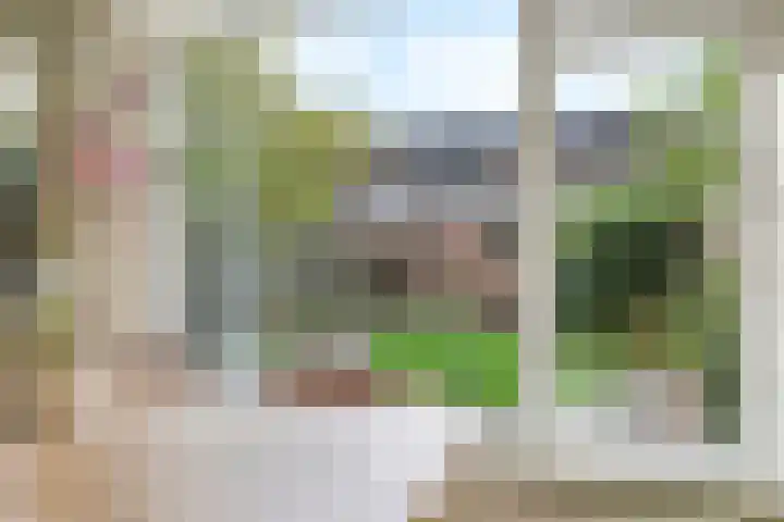 Irisstraat 34 Heteren thumbnail 17