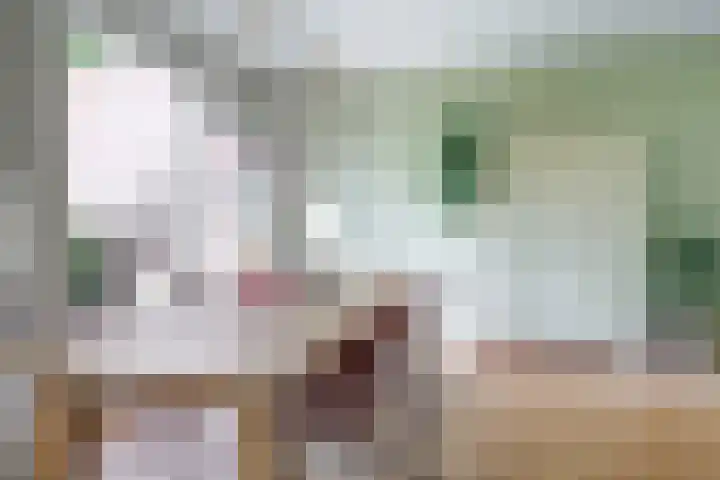 Irisstraat 34 Heteren thumbnail 25