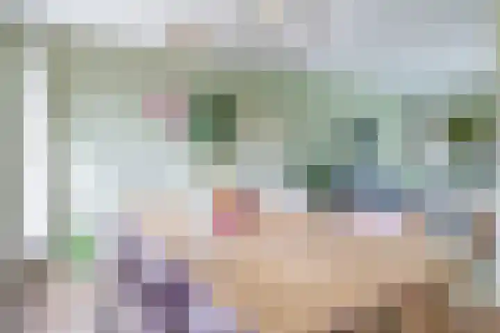 Irisstraat 34 Heteren thumbnail 26