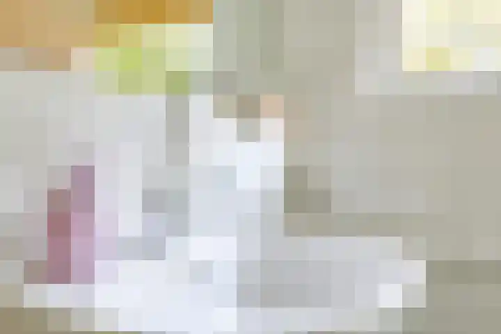 Irisstraat 34 Heteren thumbnail 37