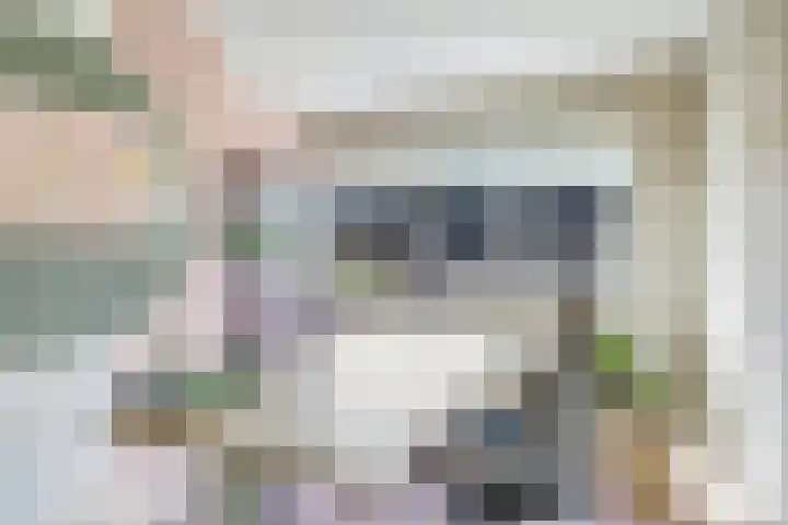Irisstraat 34 Heteren thumbnail 39