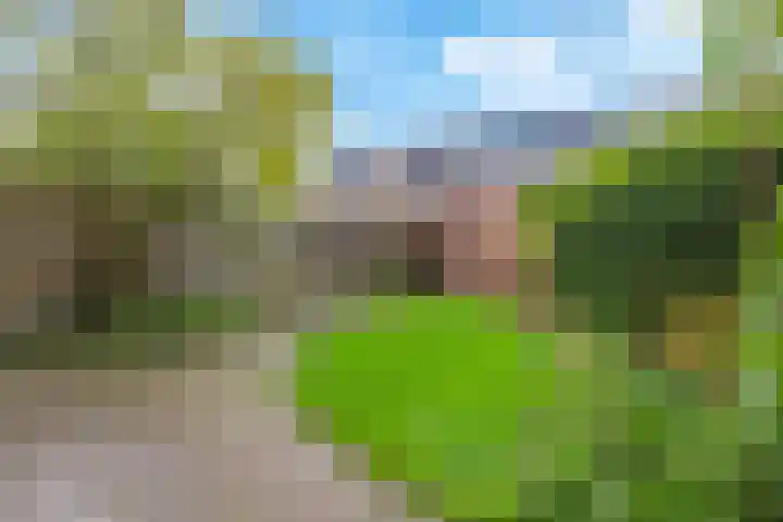 Irisstraat 34 Heteren thumbnail 54