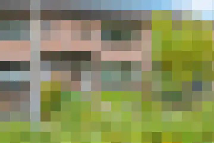 Irisstraat 34 Heteren thumbnail 6
