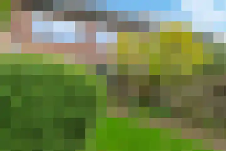 Irisstraat 34 Heteren thumbnail 60