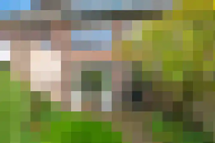 Irisstraat 34 Heteren thumbnail 61