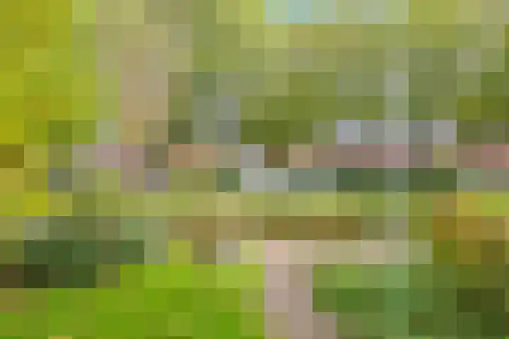 Irisstraat 34 Heteren thumbnail 63