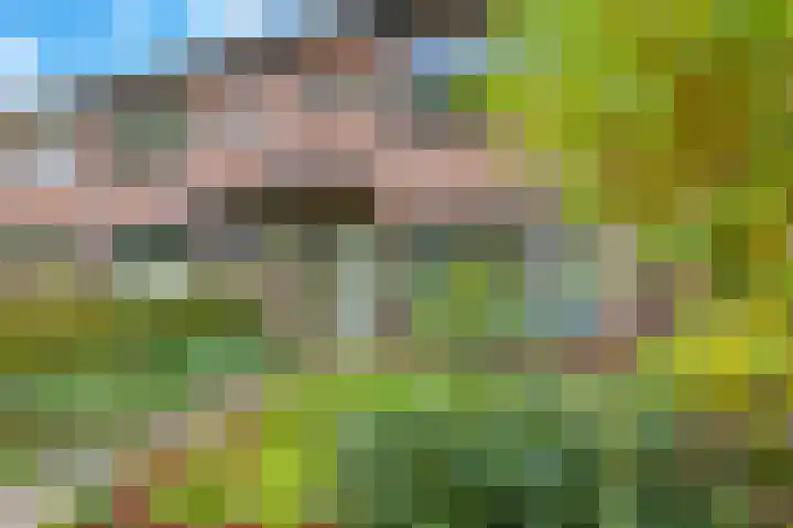Irisstraat 34 Heteren thumbnail 64