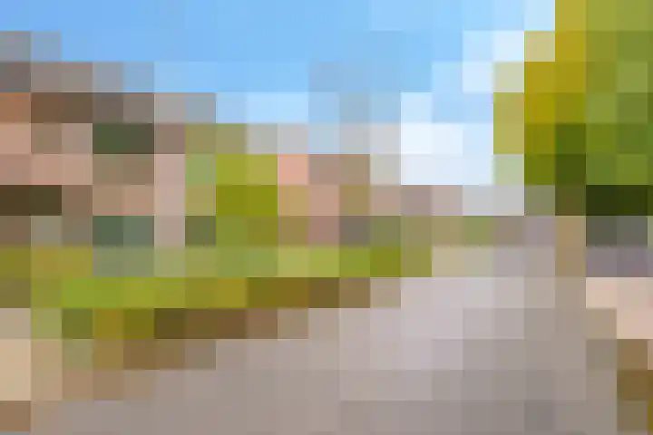 Irisstraat 34 Heteren thumbnail 67