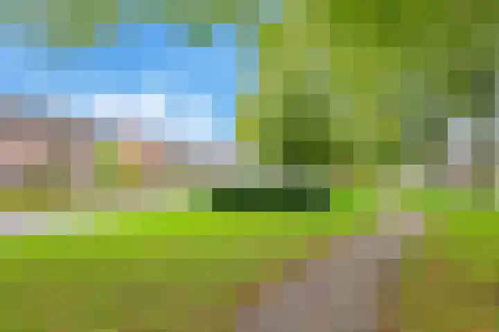 Irisstraat 34 Heteren thumbnail 68