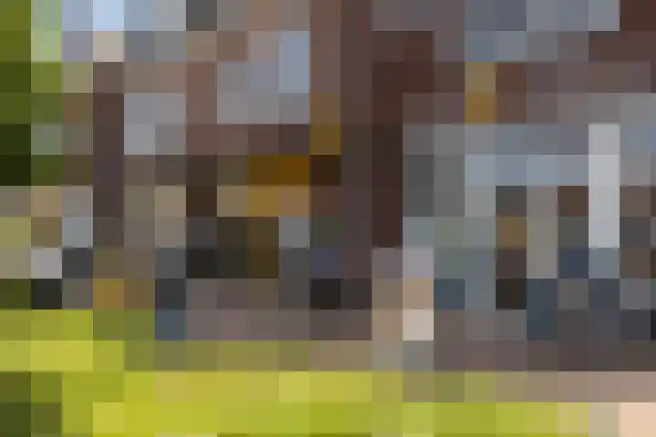 Irisstraat 34 Heteren thumbnail 70