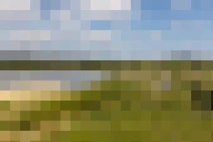 Irisstraat 34 Heteren thumbnail 72