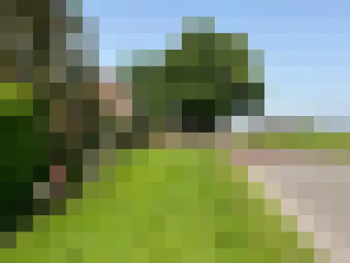 Irisstraat 34 Heteren thumbnail 73