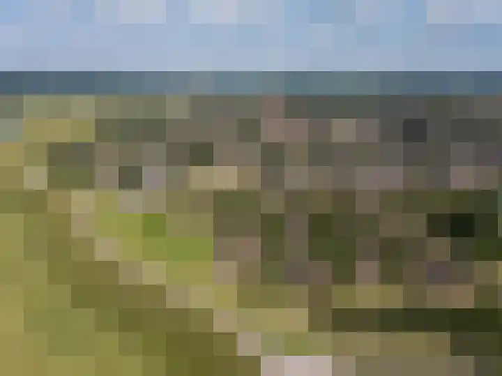 Irisstraat 34 Heteren thumbnail 75