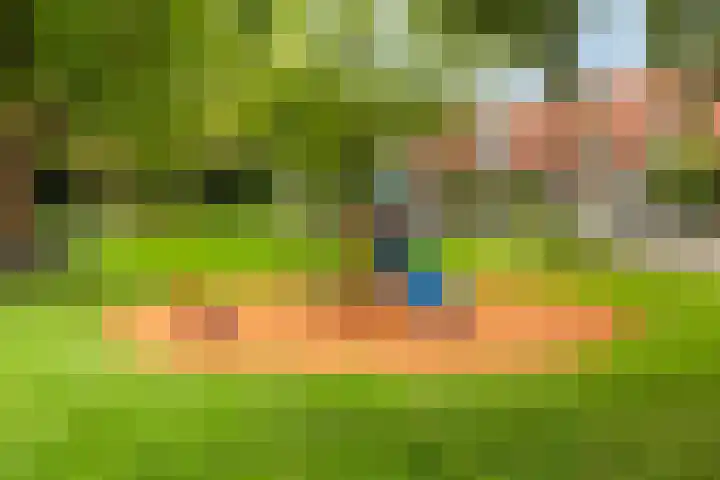 Irisstraat 37 Almelo thumbnail 25