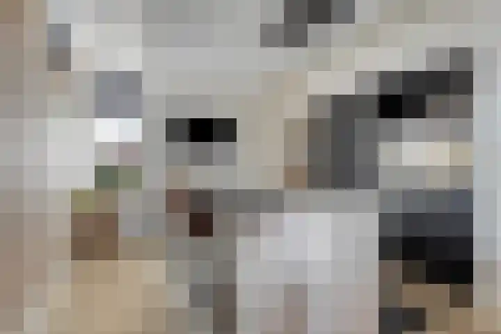 Irisstraat 37 Almelo thumbnail 7