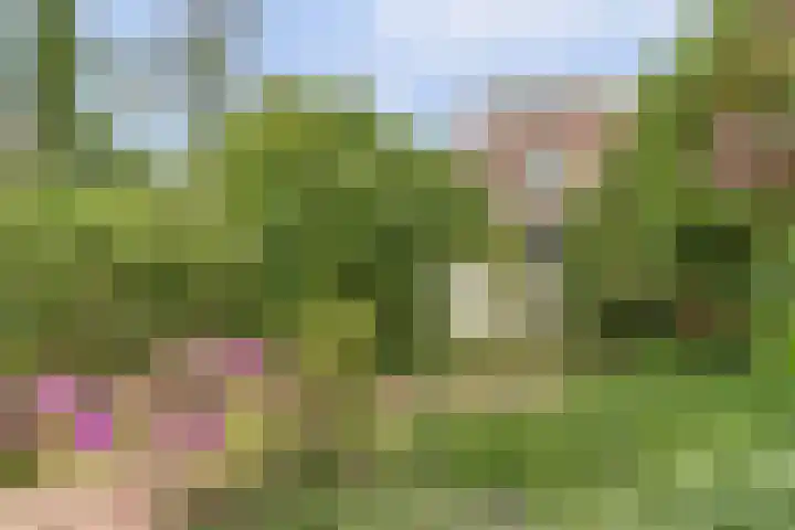Irisstraat 4 Alkmaar thumbnail 31
