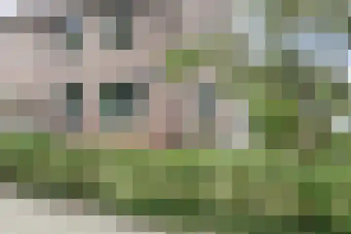 Irisstraat 4 Alkmaar thumbnail 33