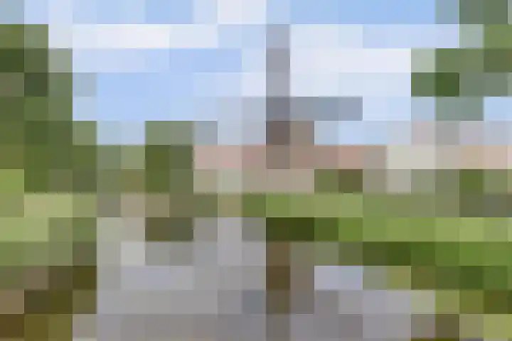 Irisstraat 4 Alkmaar thumbnail 36