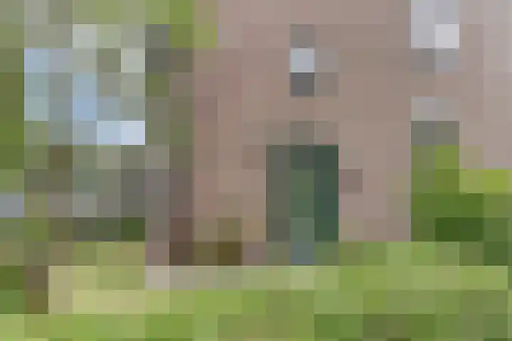 Irisstraat 4 Alkmaar thumbnail 4