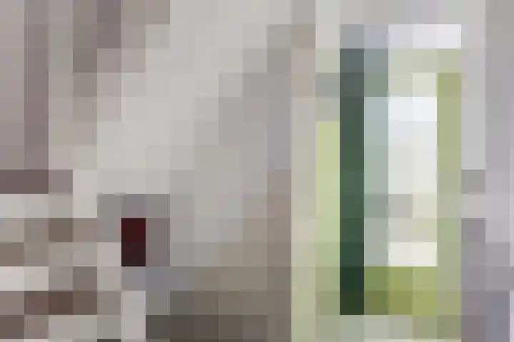 Irisstraat 4 Alkmaar thumbnail 5