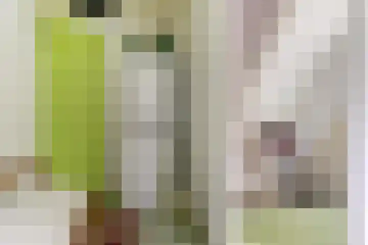 Irisstraat 4 Alkmaar thumbnail 7