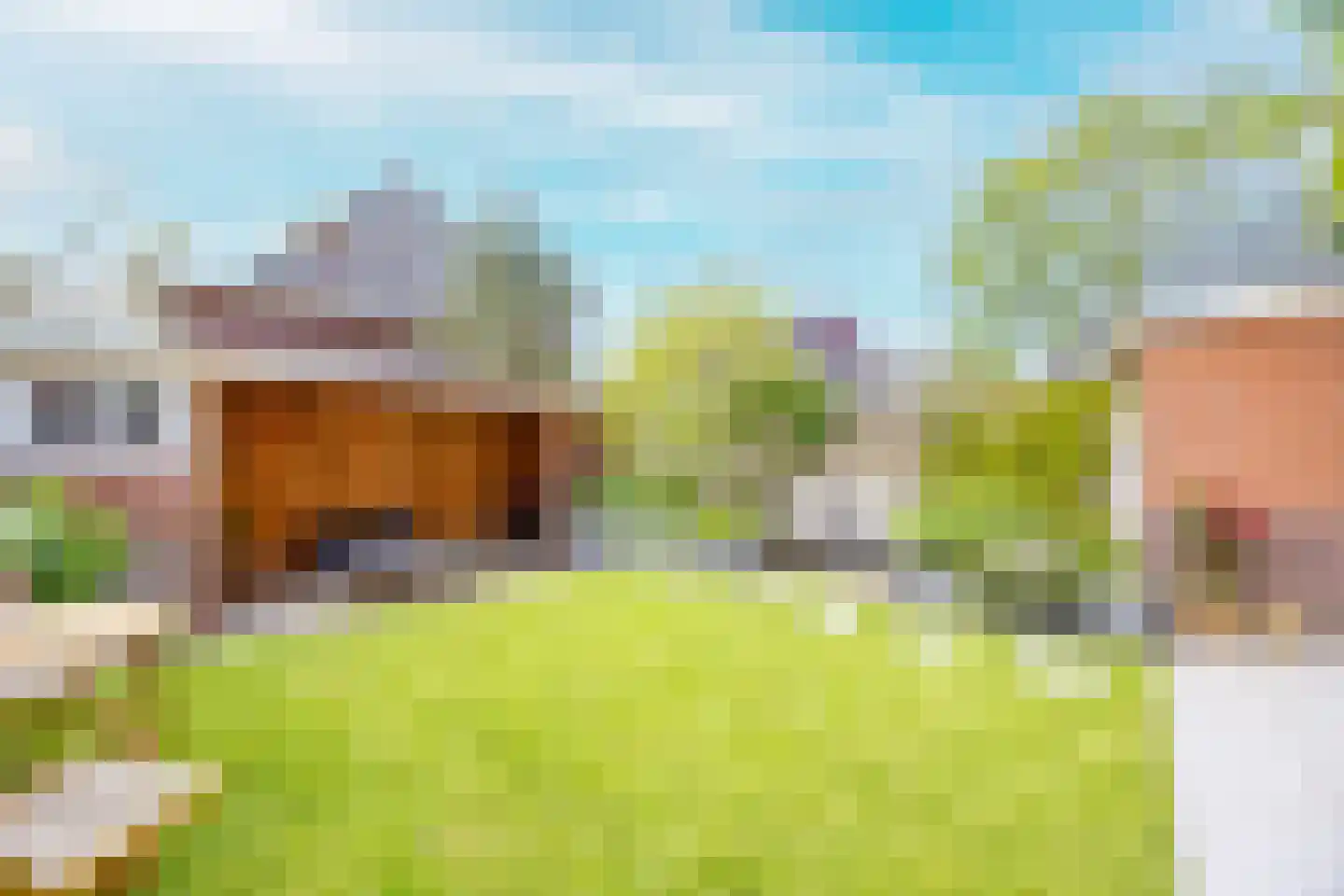 Irisstraat 4 Bussum thumbnail 49