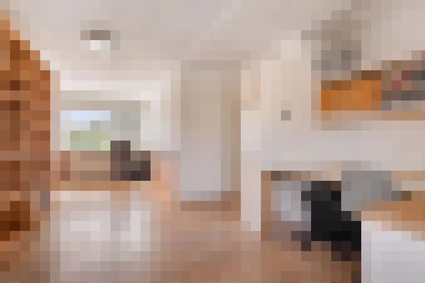 Irisstraat 45 Haarlem thumbnail 37