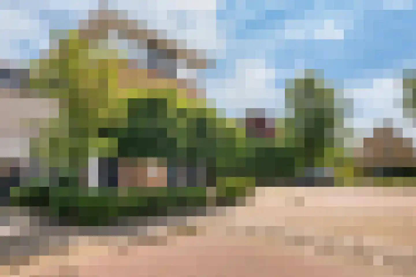 Irisstraat 45 Haarlem thumbnail 5