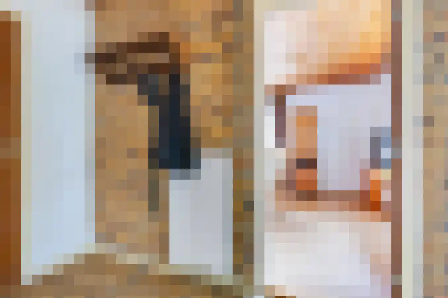 Irisstraat 5 Hippolytushoef thumbnail 13